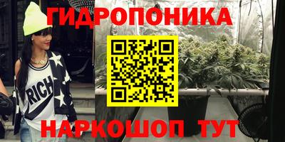 jwh Будённовск