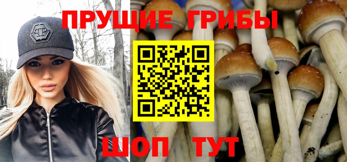 Галлюциногенные грибы мицелий  Вход с VPN  Северск 